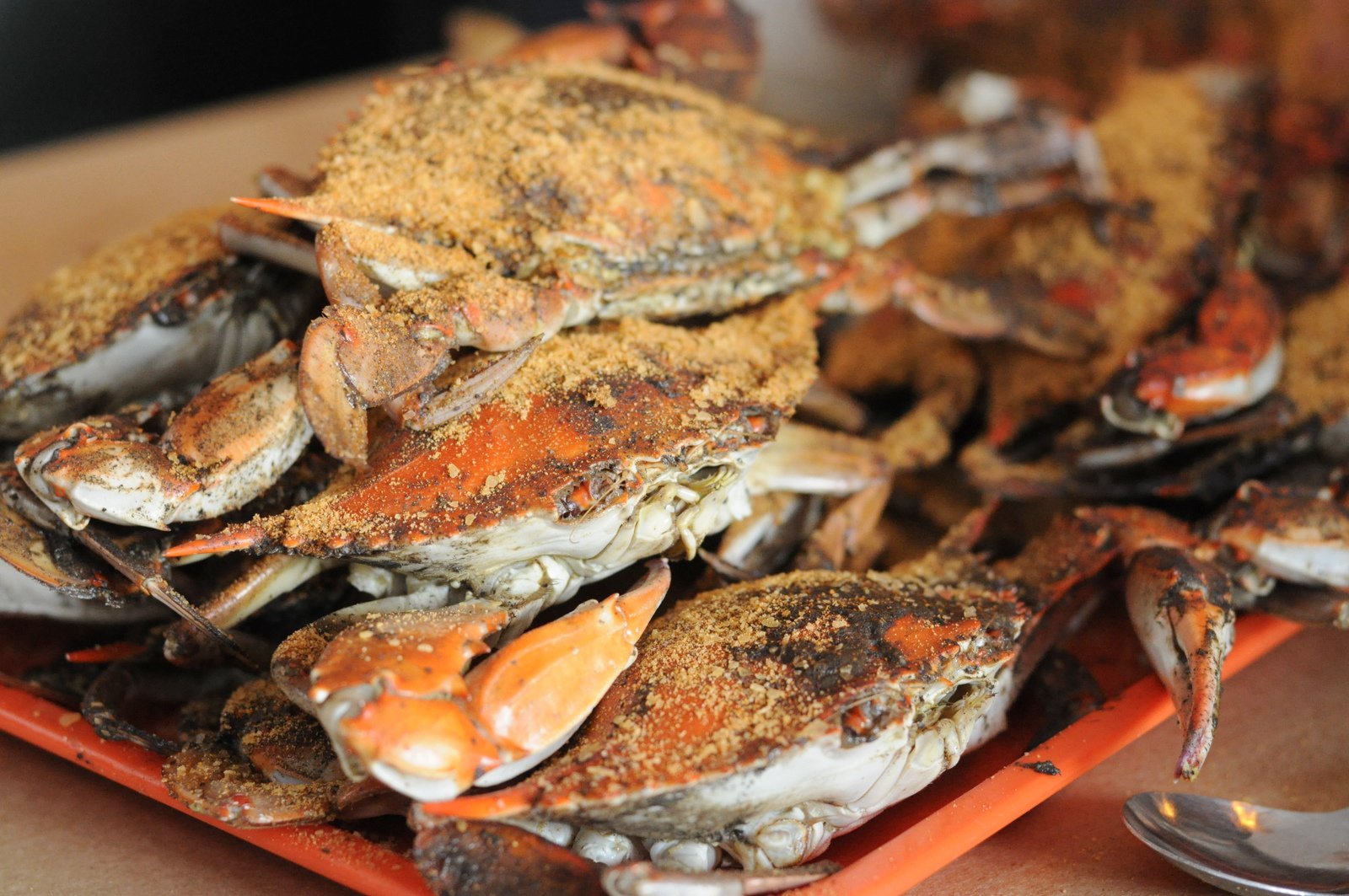 Price’s Seafood Maryland Crabs in Havre De Grace